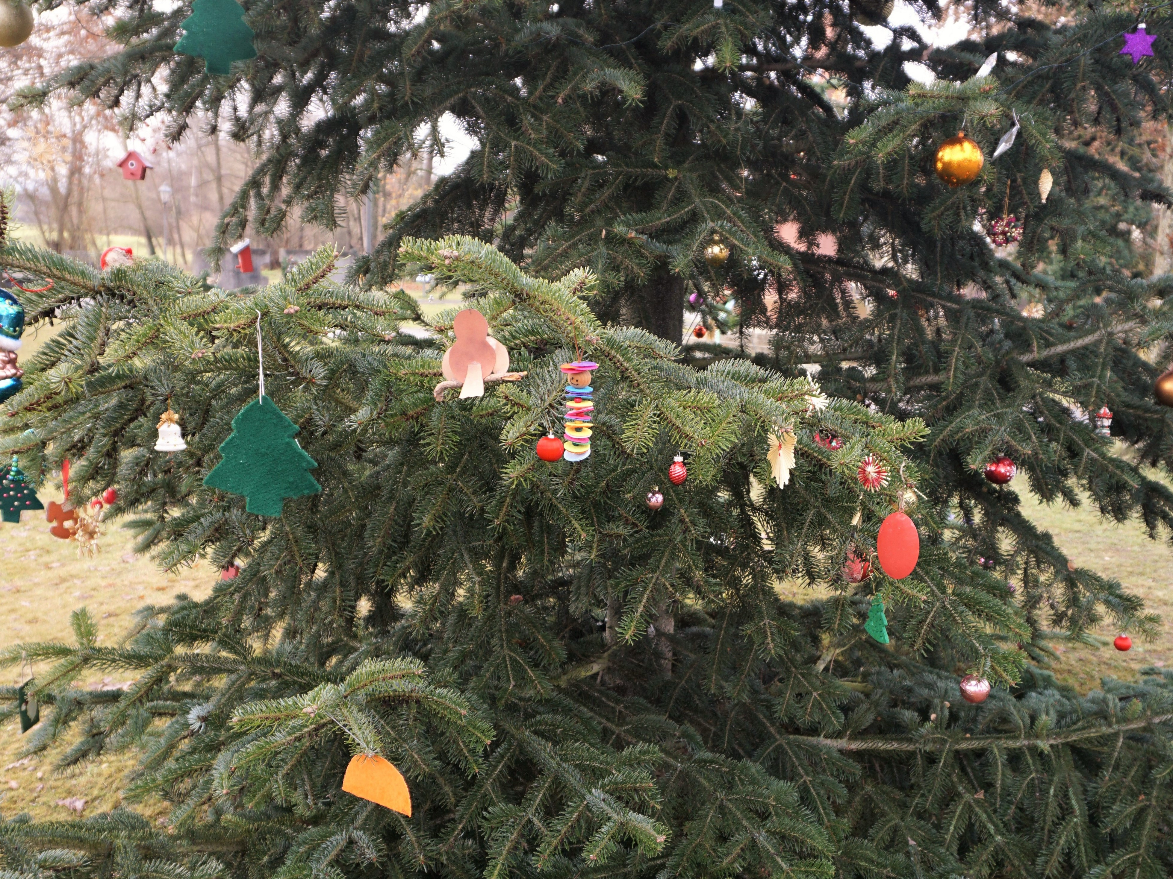 Gmünder Weihnachtsbaum